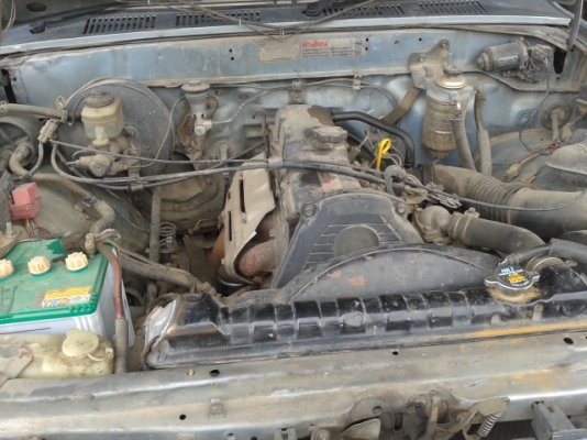 ขายไมตี้ x ช่วงสั้น 4 ขอ