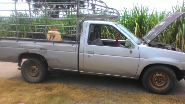 ฝากขายด่วน นิสสันบิกเอ็ม เครื่อง 2500 ฝาแดง เครื่องดีเกียดี ตัวตามสภาพ พร้อมใช้บรรทุกของข้าไร่นา ทะเบียนพร้อมโอน ฝากขายด่วน นิสสันบิกเอ็ม เครื่อง 2500 ฝาแดง เครื่องดีเกียดี ตัวตามสภาพ พร้อมใช้บรรทุกของข้าไร่นา ทะเบียนพร้อมโอน