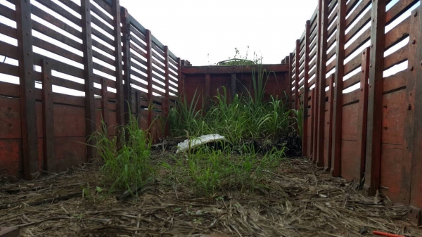 ขาย 10 ล้อ 2 เพลา HINO FM187LA มีระบบลำโพงลากพ่วง คัสซีสวยตลอดเส้น เครื่องเดิม HO7C 185 แรงม้า เกียร์ HO สโลว์เดิม เบรคลมดัน พวงมาลัยพาวเวอร์ ทะเบียนพร้อมโอนครับ