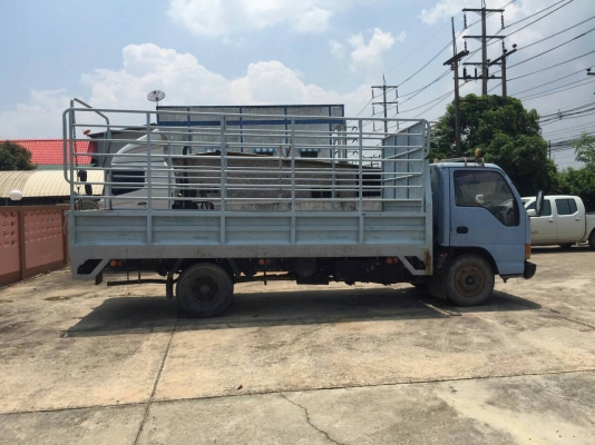 รถอีซูซู 6 ล้อรั้ว NPR 120 แรงม้า. ปี 41  ( ฝาขาว. )     สนใจติดต่อ  081 - 6079515