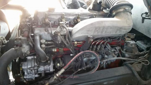 ขาย195 แรง 6ล้อใหญ่ ยาง900 ยาว7 เมตร 084-6575265