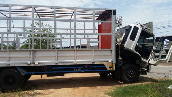 ขาย195 แรง 6ล้อใหญ่ ยาง900 ยาว7 เมตร 084-6575265