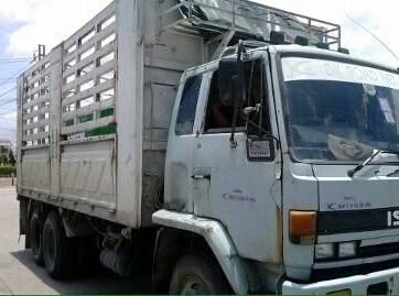 สิบล้อ อีซูซุ FVM195 นางฟ้า กะบะค็อกเหล็กสามมิตร ยาว 7.20ม. สภาพดีพร้อมใช้ ทะเบียนพร้อมโอน ราคา 645,000บ ต่อรองได้ครับ สิบล้อ อีซูซุ FVM195 นางฟ้า กะบะค็อกเหล็กสามมิตร ยาว 7.20ม. สภาพดีพร้อมใช้ ทะเบียนพร้อมโอน ราคา 645,000บ ต่อรองได้ครับ