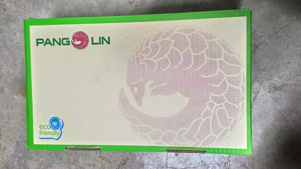 คัยสนจัยบ้าง คัยสนจัยบ้าง