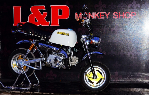 โปรโมชั่น ลดราคามังกี้ กอลิล่า มีให้เลือกหลากหลายแบบ ไม่ซ้ำ ขับสนุก ขับมัน ทนทาน  เริ่มต้น2XXXX