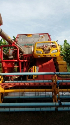 ขายรถเกี่ยวข้าวศักดิ์พัฒนา Big47