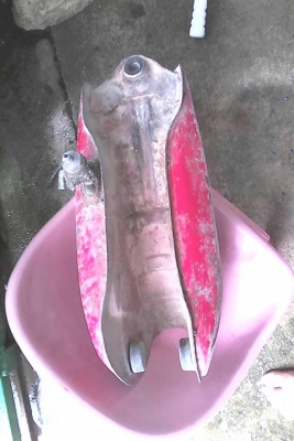 ขายถัง DT ขายถัง DT