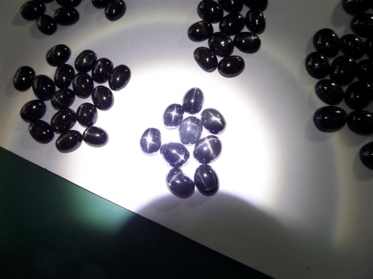 พลอยดำหลังเบี้ยสตาร์อินเดีย