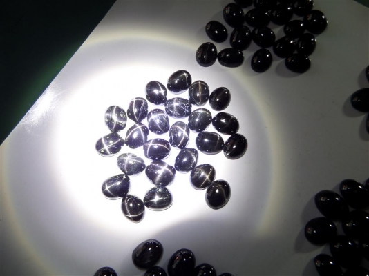 พลอยดำหลังเบี้ยสตาร์อินเดีย