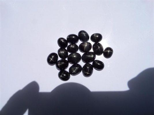 พลอยดำหลังเบี้ยสตาร์อินเดีย