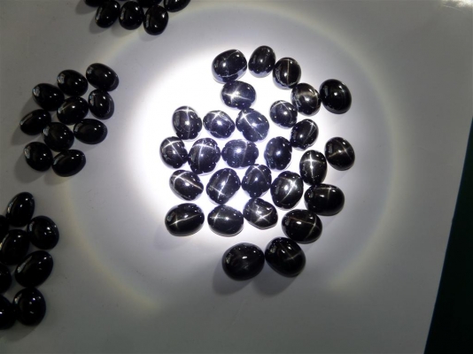 พลอยดำหลังเบี้ยสตาร์อินเดีย