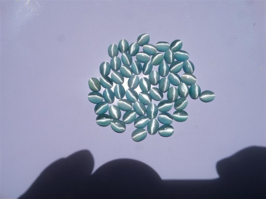 พลอยตาแมวไซร์ 6x8 พลอยตาแมวไซร์ 6x8