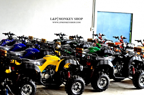 เอทีวี BIG BEAR 125 รุ่น UPGRADE ใหม่ล่าสุด คุ้มสุดๆราคาเริ่มต้น ที่ 45500