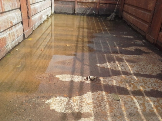 ขายกระบะ 10  ล้อ