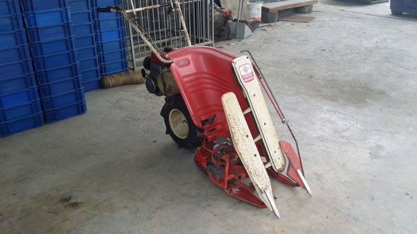 นำเข้าจากญี่ปุ่น รถเกี่ยวข้าวเดินตามแบบมัดข้าวในตัว YANMAR  รุ่น YB100B เก่าญี่ปุ่น สภาพดี