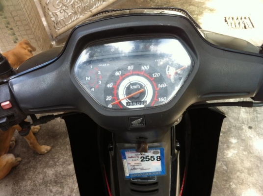 ขออนุญาติขาย HONDA WAVE 100S สีดำเงา สวยเดิม ฟรีค่าโอน ขออนุญาติขาย HONDA WAVE 100S สีดำเงา สวยเดิม ฟรีค่าโอน