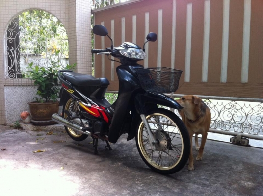 ขออนุญาติขาย HONDA WAVE 100S สีดำเงา สวยเดิม ฟรีค่าโอน