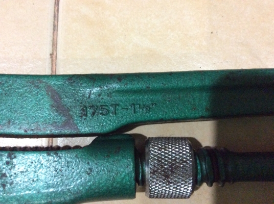 ขายคอม้าสายเลือดเยอรมัน