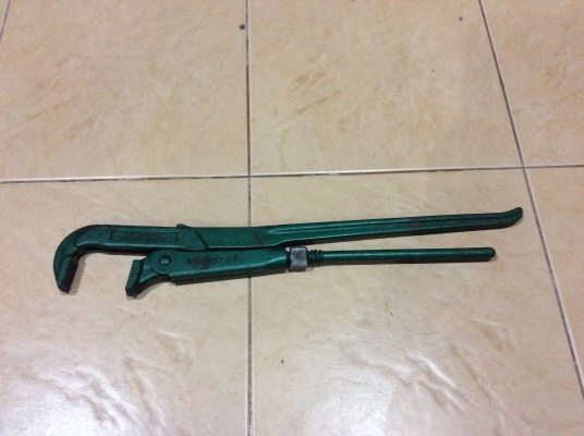 ขายคอม้าสายเลือดเยอรมัน