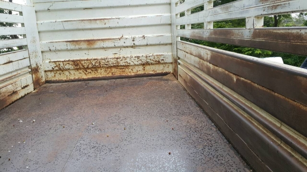 Isuzu npr150  รถบ้าน สภาพดีไม่เคยเกิดอุบัติเหตุ