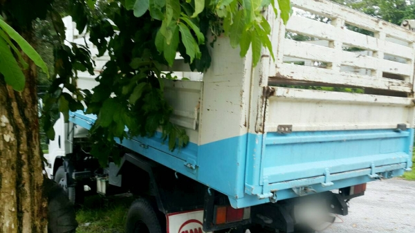 Isuzu npr150  รถบ้าน สภาพดีไม่เคยเกิดอุบัติเหตุ