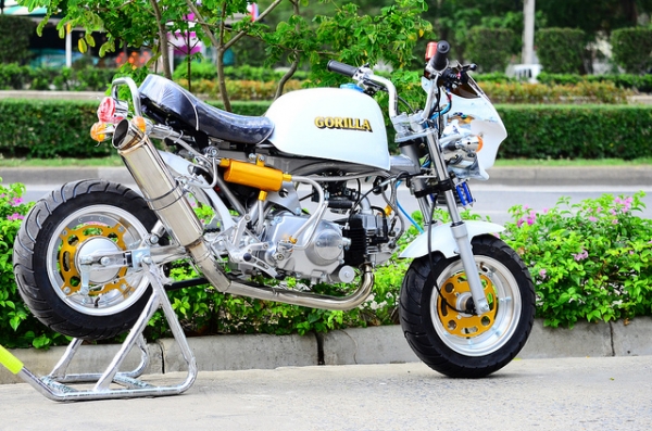 ชาลีแต่ง  มังกี้ กอลิล่าแต่ง มีมากกว่า 100++ แบบ โครง cnc รวมของแต่ง เพียบ ราคาเริ่มต้น.........