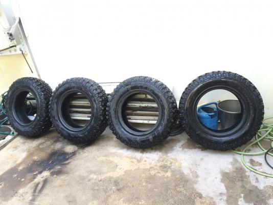 ขายยางbf mud ขนาด225/75/16 เก่าเก็บปี08 ใช้งานน้อยมากดอกเต็มๆ เทียบเท่า29.2นิ้ว เอาไปใส่ คารีเบี้ยน jimny jeep สวยๆครับ. 4เส้นดอกเท่ากันหมดไม่มีปะ ไม่บวม. 4เส้น ราคา7500บาท ดูของพระราม2. 089 0211090 Id champ_rama2 ขายยางbf mud ขนาด225/75/16 เก่าเก็บปี08 ใช้งานน้อยมากดอกเต็มๆ เทียบเท่า29.2นิ้ว เอาไปใส่ คารีเบี้ยน jimny jeep สวยๆครับ. 4เส้นดอกเท่ากันหมดไม่มีปะ ไม่บวม. 4เส้น ราคา7500บาท ดูของพระราม2. 089 0211090 Id champ_rama2