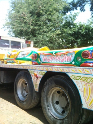 ขาย! หน้า,หลัง จ้าวช้างไวไฟ