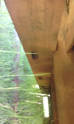 ขาย 15000 บาท ด่วนๆมาก่อนได้ก่อน สวยๆพร้อมใช้