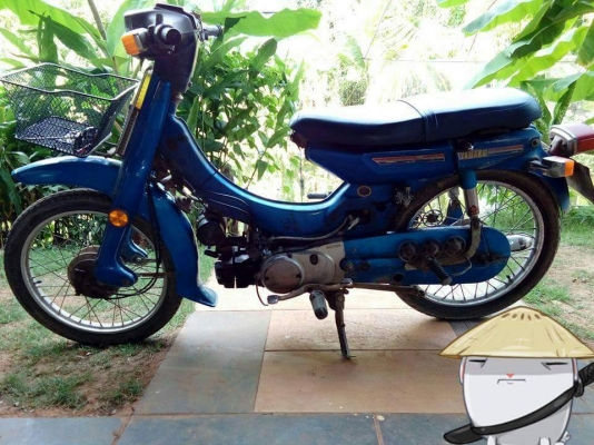 Y80