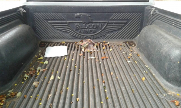 ขายกระบะ NISSAN ฝาแดง จอโค้ง ปี 39/1996 พาวเวอร์โรงงาน แอร์เย็น ทะเบียนพร้อมโอนครับ