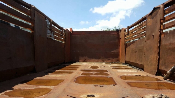 ขาย 10 ล้อ 2 เพลาดั้ม HINO FM176 วางเครื่อง HO7C 185 แรงม้า เกียร์ HO คัสซีสวยตลอดเส้น สโลว์กลาง พวงมาลัยพาวเวอร์ ทะเบียนพร้อมโอนครับ