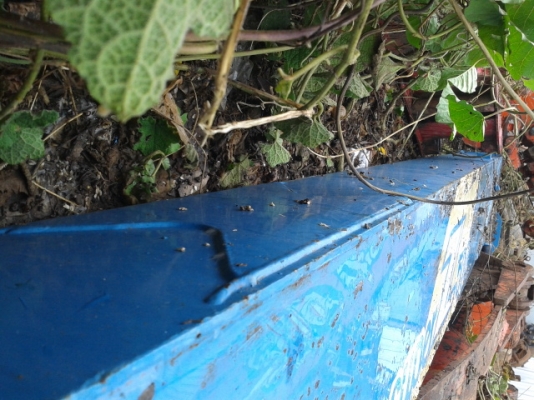 อ่านก่อนนะครับค่อยโทรมา ขายบูมเครน TADANO superZ500ท้องวี4ปอก3ชัก เก่านอก สภาพดีและบูม4.5ตันท้องแบน4ปอก3ชักครับ