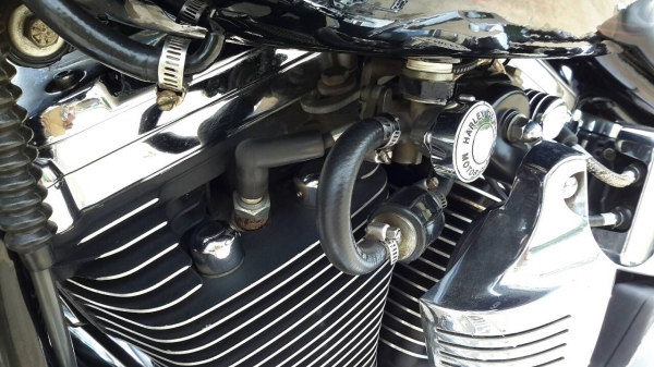 ขาย Fatboy Evo ปี 97 แต่ง Heritarge Softail ทะเบียนแท้พร้อมโอน