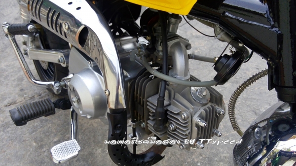 มังกี้ราคาถูก แต่งสวยไมล์ 300 โลมีประกันศูนย์ มังกี้ราคาถูก แต่งสวยไมล์ 300 โลมีประกันศูนย์