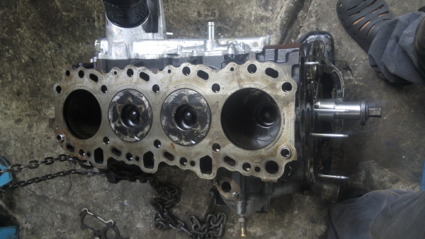 ขอบคุณเว็บพี่เสือมากครับ ขายเครื่องวีโก้2500 ครึ่งท่อนล่างสวยๆ