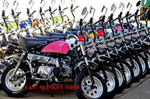 โปรจัดใหม่  ลดพิเศษ มังกี้กอลิล่า เดิมๆ ราคาเริ่มต้นที่ 2xxxx ลดพิเศษมังกี้แต่งโดนใจวัยมันส์ เสียภาษี มีใบคุมขนส่ง มีให้เลือกเยอะที่สุด ถูกที่สุด สะดุต  ราคาเริ่มต้น  22999