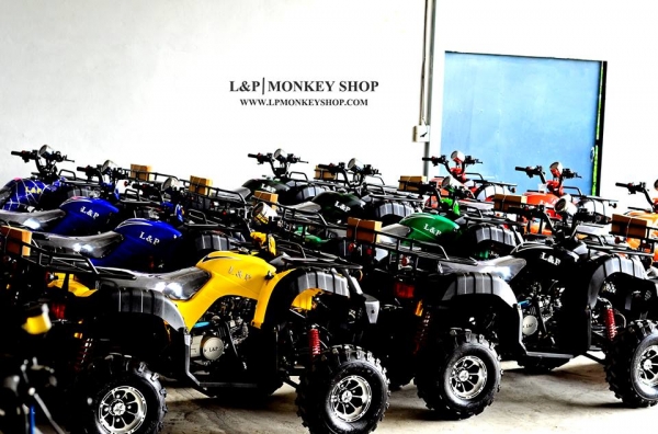 จัดโปรใหม่  BIG BEAR 125 cc ลดราคาพิเศษคุ้มสุดๆ ราคาเริ่มต้นที่...a