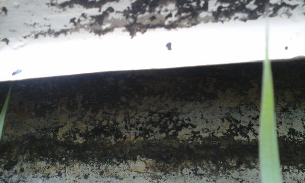 ขาย toyota mighty x ปี 93 พวงมาลัยพาวเว่อร์