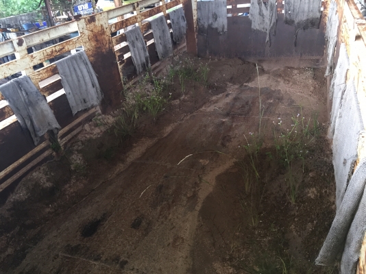 10ล้อดั้ม 270แรง Isuzu FXZ23 NZPf t-3600762 ยูโร1 ปี2545..รถสวยสภาพดี พร้อมใช้