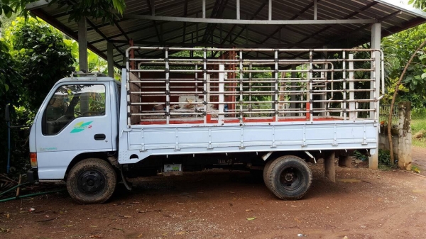 ขาย 6 ล้อ NKR ปี 39 เครื่อง 4BE1 110 แรงม้า คัสซีสวยตลอดเส้น ยางเต็ม ทะเบียนพร้อมโอน