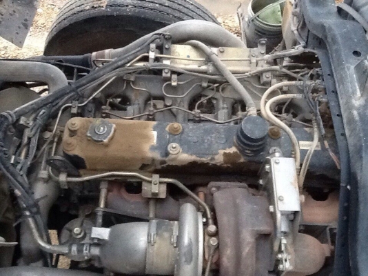 ขาย. 320 แม่ลูกดั๊ม ปี 48