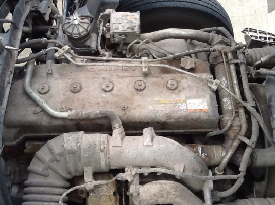 ขาย. 344 แม่ลูกดั๊ม ปี 52