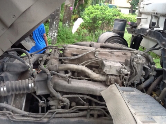 ขาย. 344 แม่ลูกดั๊ม ปี 52