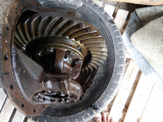 ขายเฟืองท้าย ฮีโน่ 8 น๊อต