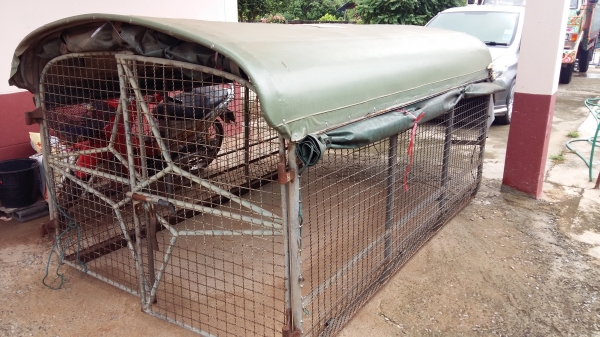 ขายหลังคาภาพสวยยกลงจากฮีโร่ราคาถูกคับ