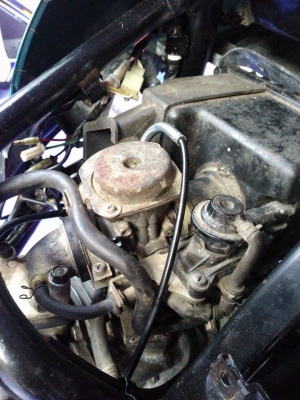 มีโฮ มีโฮ