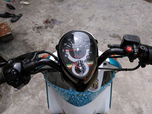 มีโฮ มีโฮ