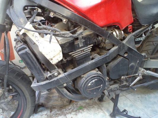 ขาย GPZ400R ต้นตระกูลนินจา ตามสะภาพ 18,000 บาท ไม่มีเล่ม มีแต่ป้ายทะเบียน