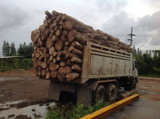 ขายสิบล้อ2เพลาดั้ม